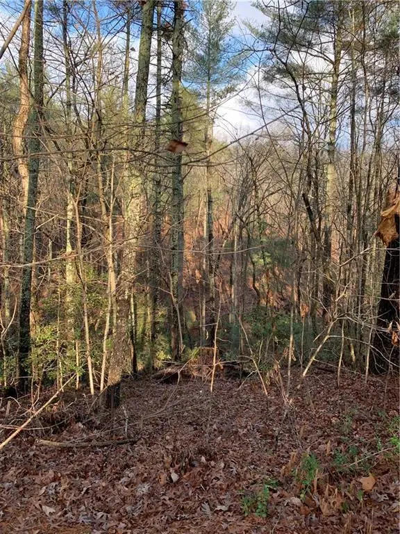 240 N Sanderlin Mtn Drive, Jasper, GA 30143 - #2