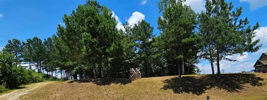 915 N Edgewater Trail N, Toccoa, GA 30577 - #2