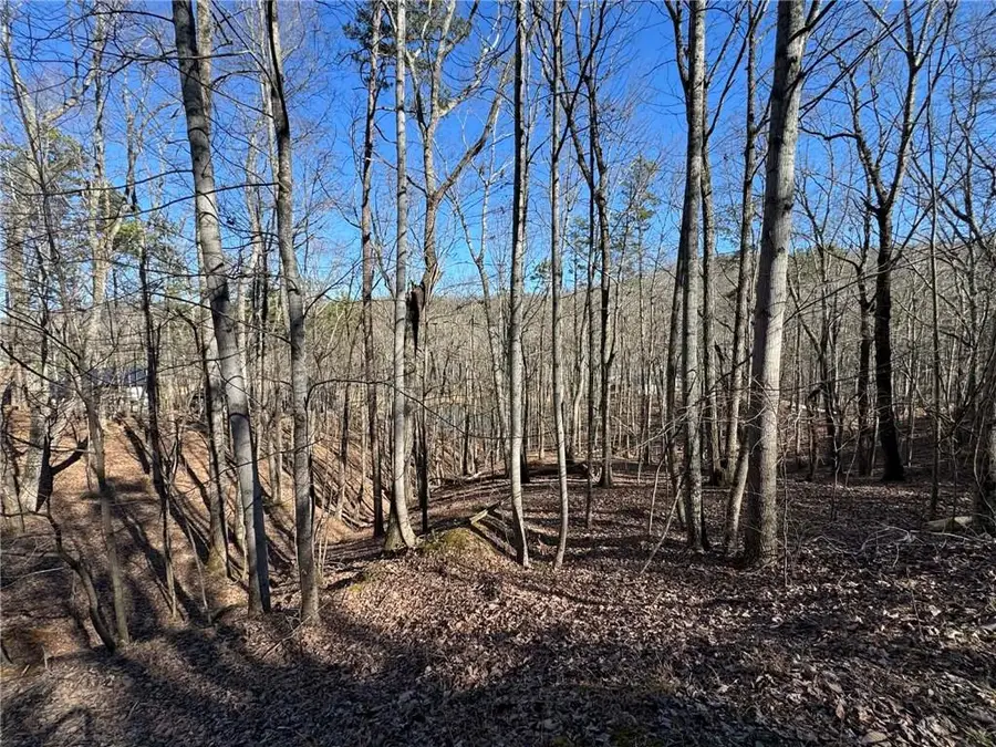 70 Geyser Court, Ranger, GA 30734 - #2