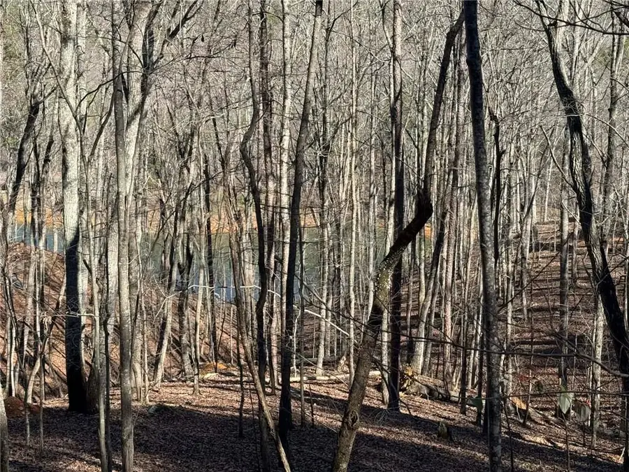 70 Geyser Court, Ranger, GA 30734 - #3