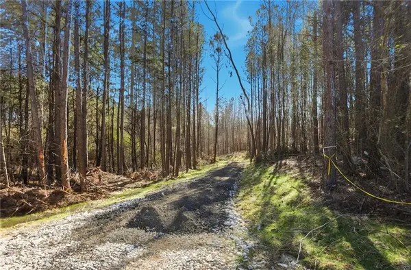 5.785 Acres On Orlando Path, Dallas, GA 30157