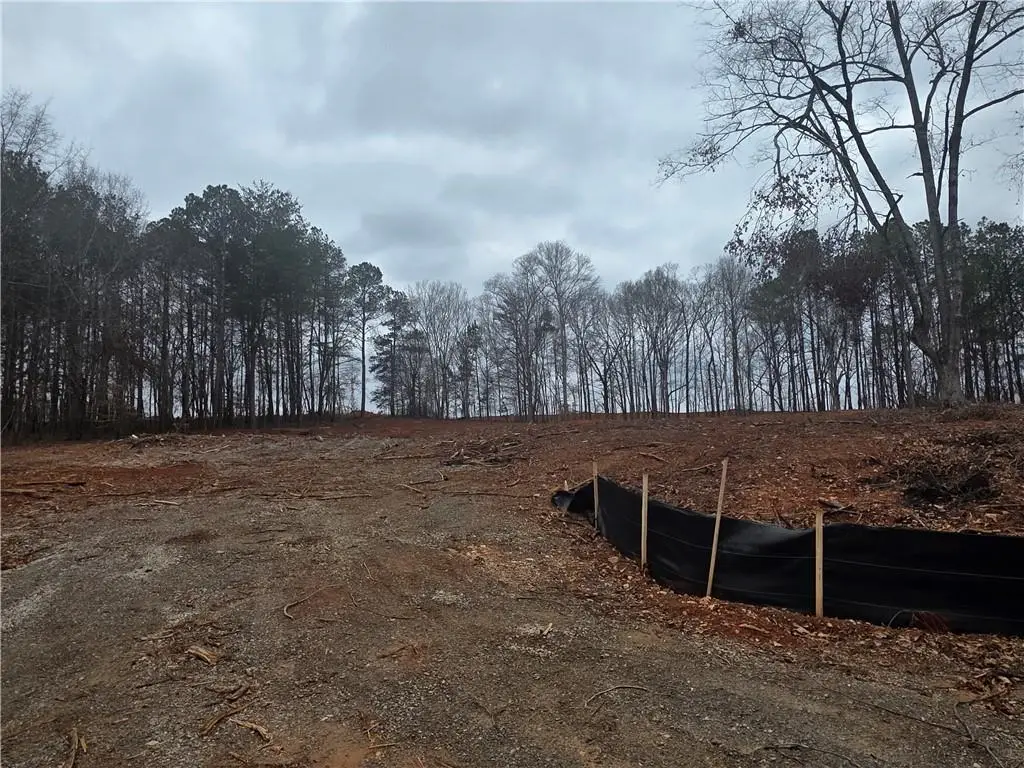 7025 Deaton Henry Road, Flowery Branch, GA 30542 - Image #1