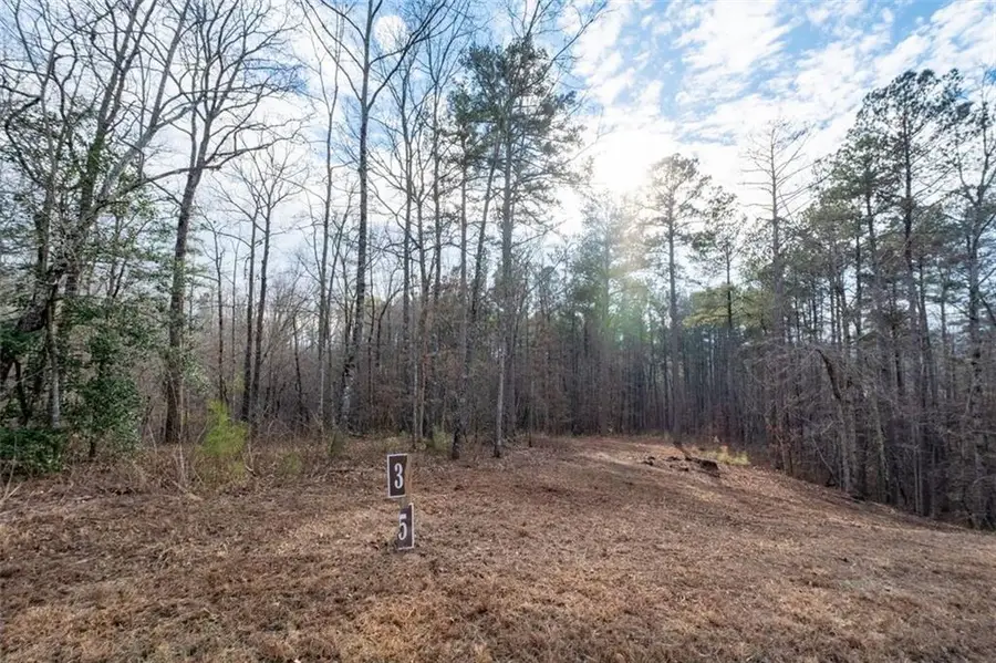 0 Freestone Street, Talking Rock, GA 30175 - #3