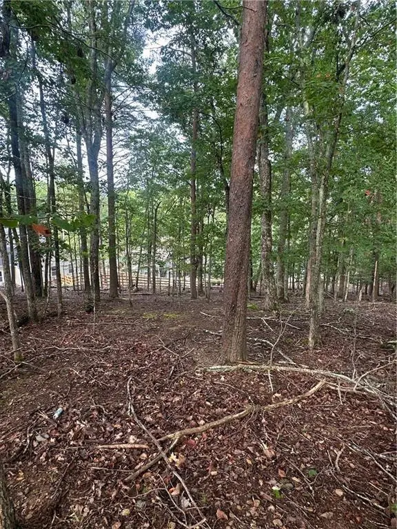 286 Morse Elm Loop, Waleska, GA 30183 - #3