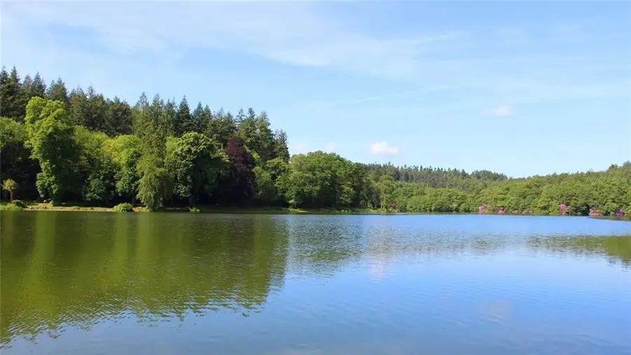 110 Briarcliff Trail, Ivey, GA 31031 - #2