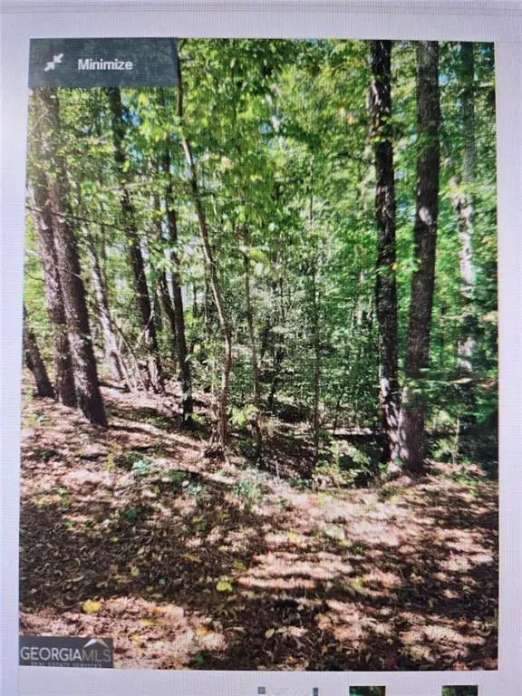 1480 Pine Lark Drive, Canton, GA 30114 - Image #3