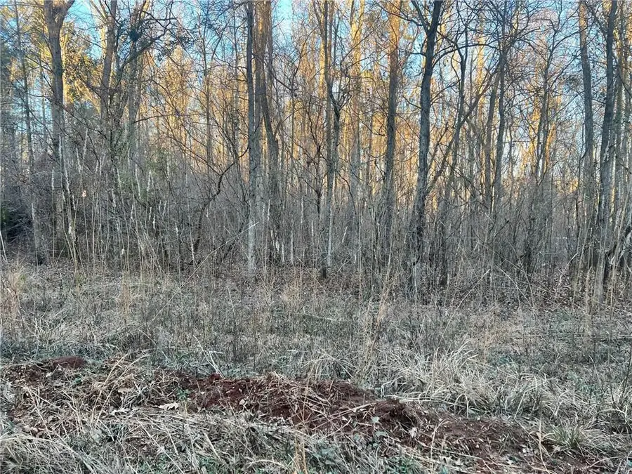 0 River Road, Monticello, GA 31064 - #2