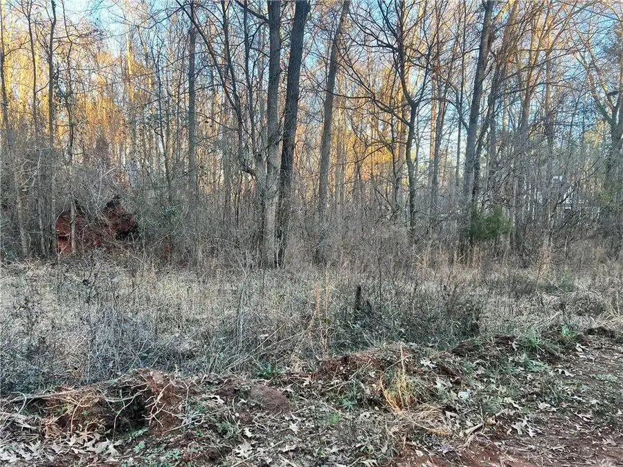 0 River Road, Monticello, GA 31064 - #3