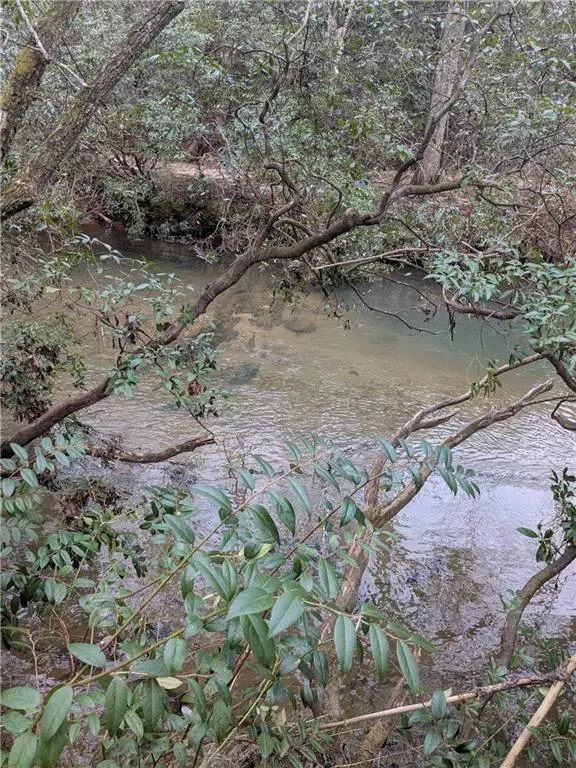 1373 Hooper Road, Cleveland, GA 30528 - Image #2