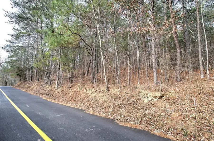 00 Manning Mill Road, Summerville, GA 30747 - #2