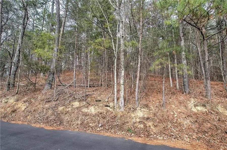 00 Manning Mill Road, Summerville, GA 30747 - #3