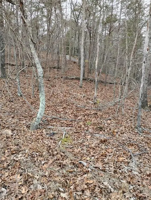 0 Willie West Road, Canton, GA 30114 - Image #1