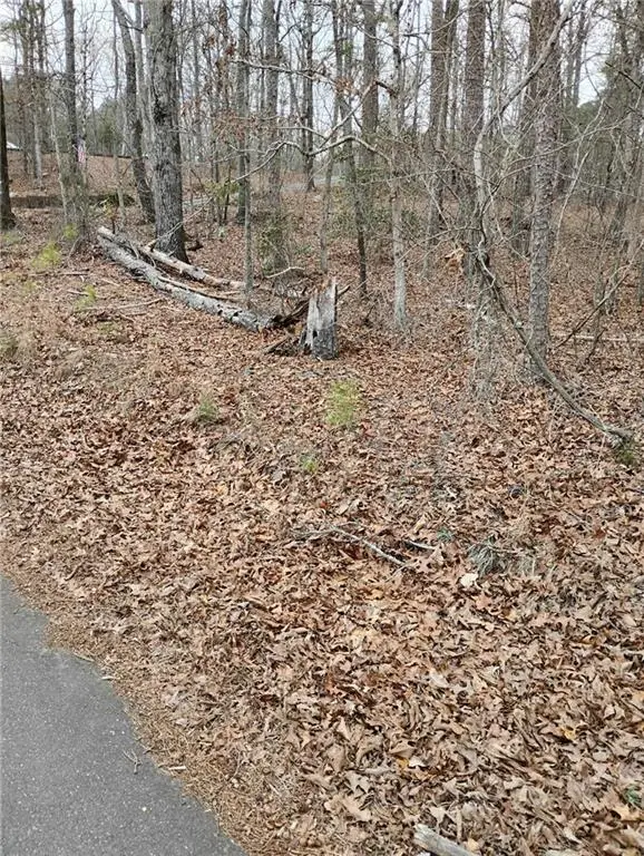 0 Willie West Road, Canton, GA 30114 - Image #3