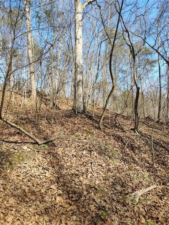 0000 Braswell Road, Rockmart, GA 30153 - #1