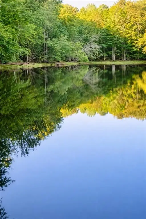 0 Malone Road, Fayetteville, GA 30215 - Image #1