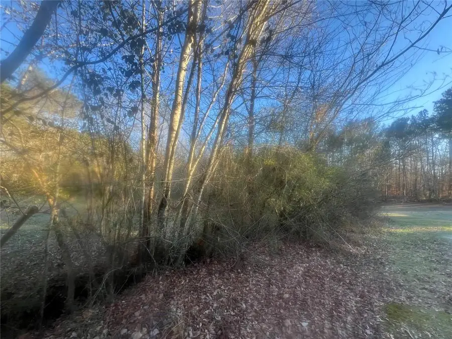 587 E Johnson Street, Temple, GA 30179 - #3