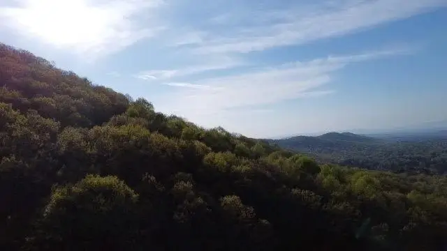 172 Trailwood Drive, Ellijay, GA 30540 - #3