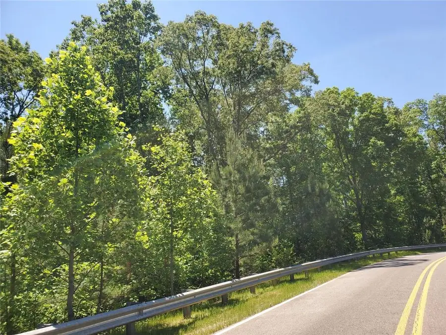 104 Hogan Pond Lane, Ball Ground, GA 30107 - #2