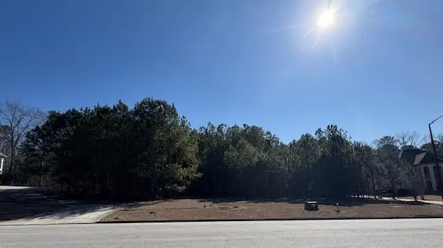 4357 Blue Ridge Drive, Douglasville, GA 30135 - Image #1