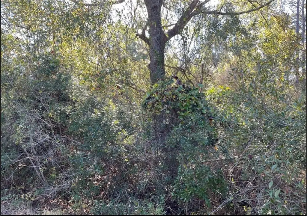 0 Quiesqueya Cir, Waycross, GA 31503 - #1