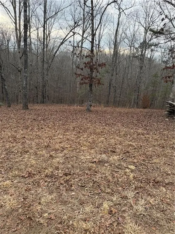 000000 Hutcheson Road, Temple, GA 30179 - #1