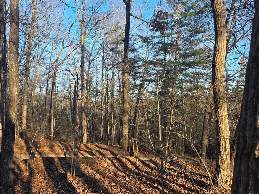 0 Carters Lake Overlook, Ellijay, GA 30540 - #2