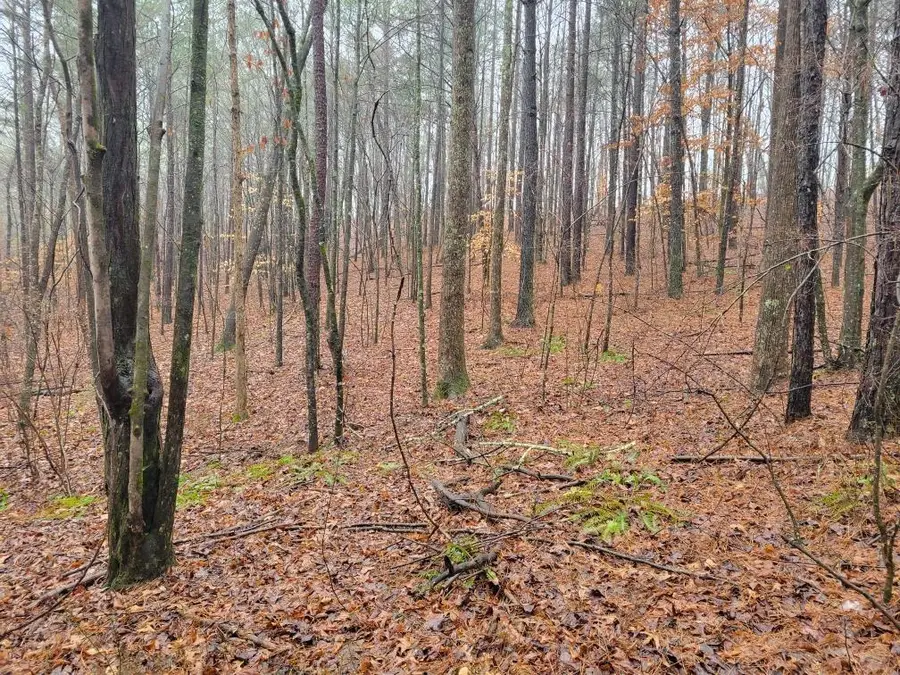 0 Carters Lake Overlook, Ellijay, GA 30540 - #3