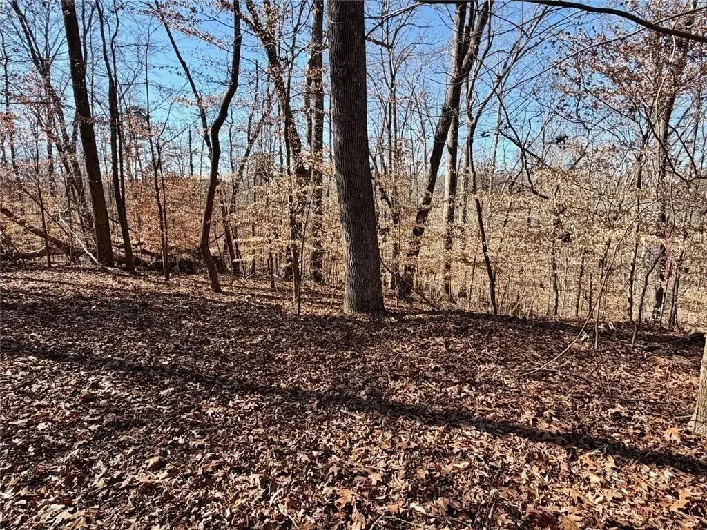 0 Arrowhead Court, Lavonia, GA 30553 - #1