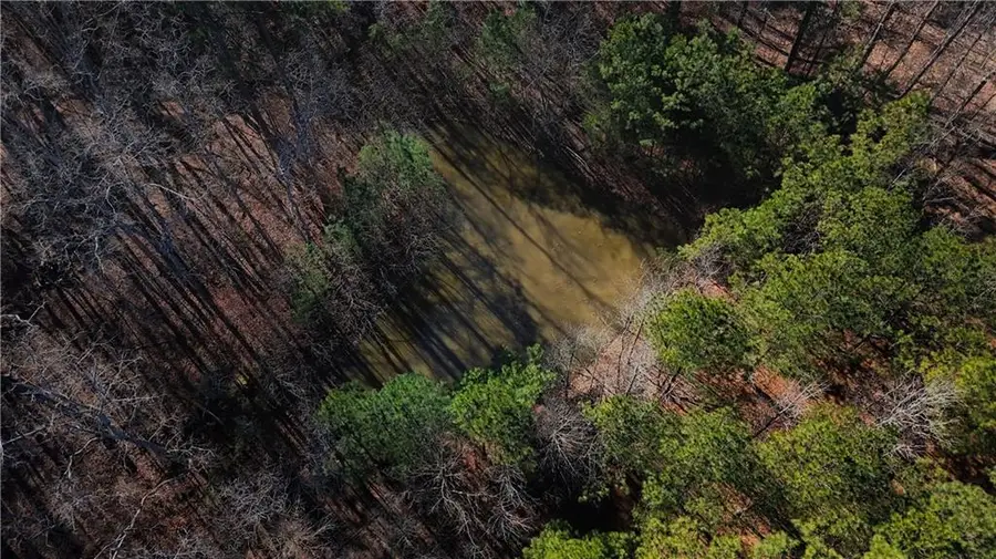 7167 Mccurley, Acworth, GA 30102 - #2