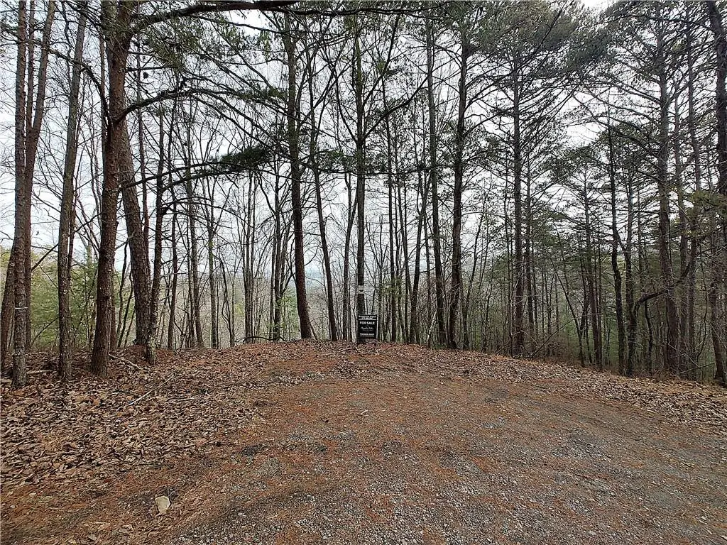 1036 Astro Court Ne, Ranger, GA 30734 - #1