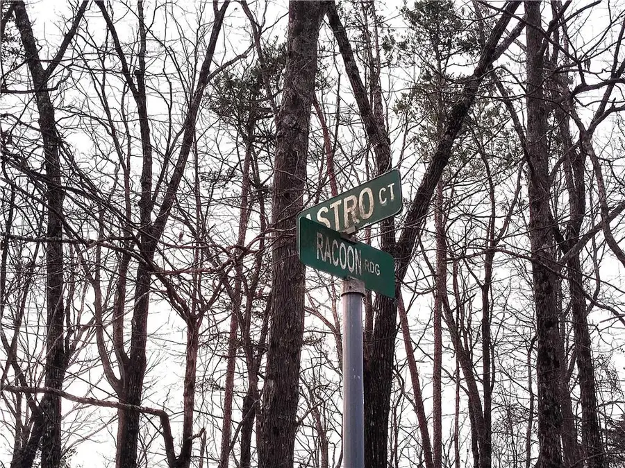 1036 Astro Court Ne, Ranger, GA 30734 - #2