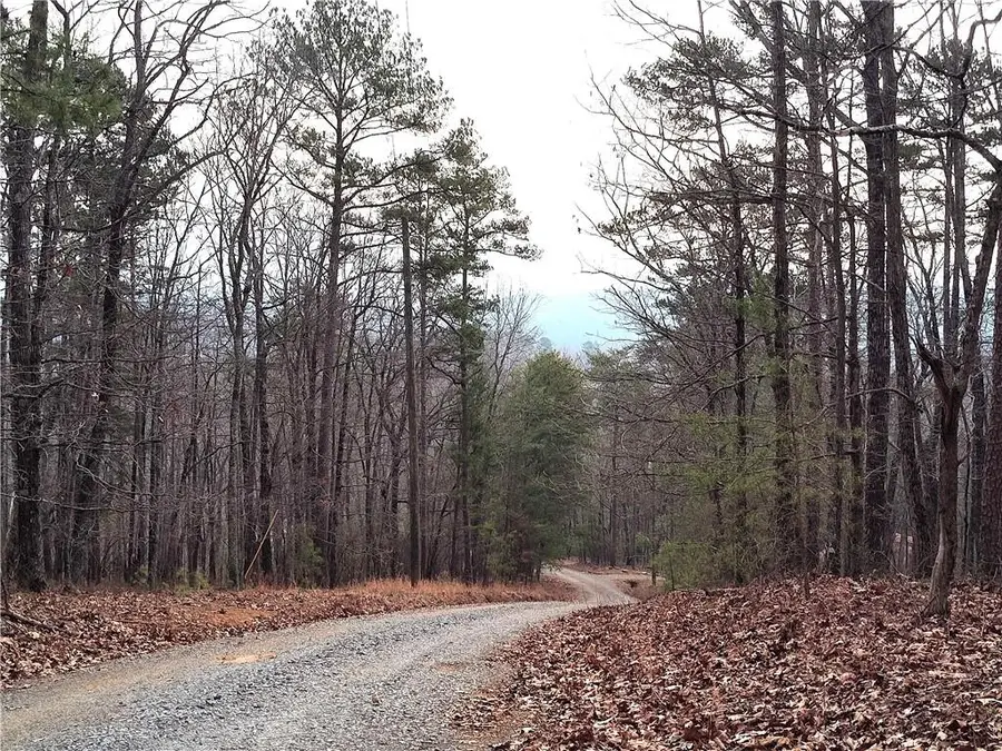 1036 Astro Court Ne, Ranger, GA 30734 - #3