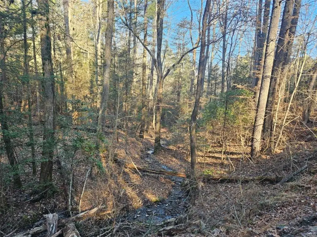 LT 162 Nexus Drive, Ellijay, GA 30540 - #1
