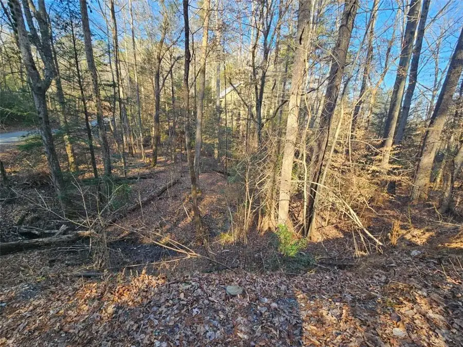 LT 162 Nexus Drive, Ellijay, GA 30540 - #2