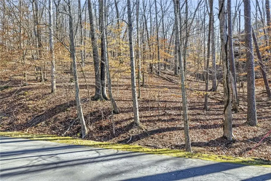 285 Hillside Drive, Waleska, GA 30183 - #2