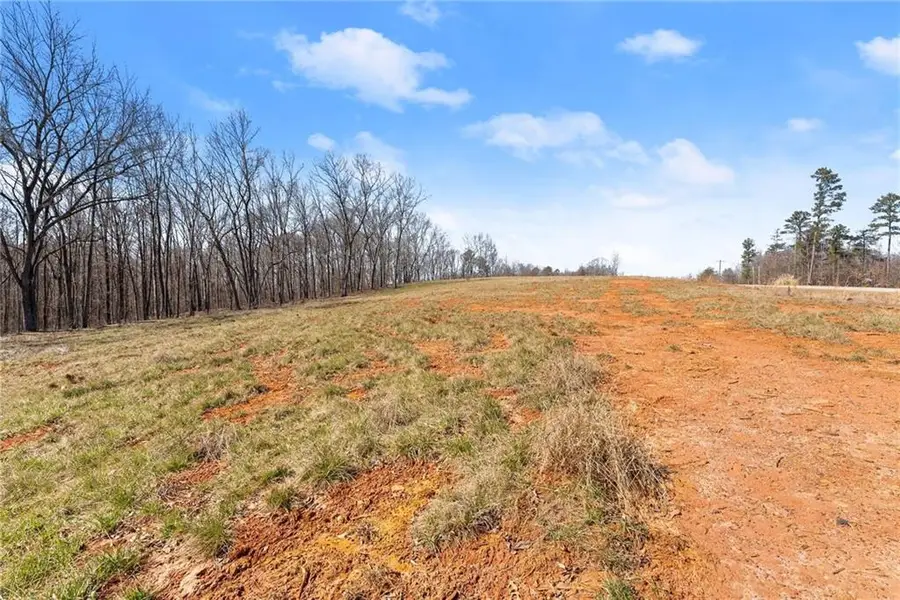 5419 Highway 320, Carnesville, GA 30521 - #3