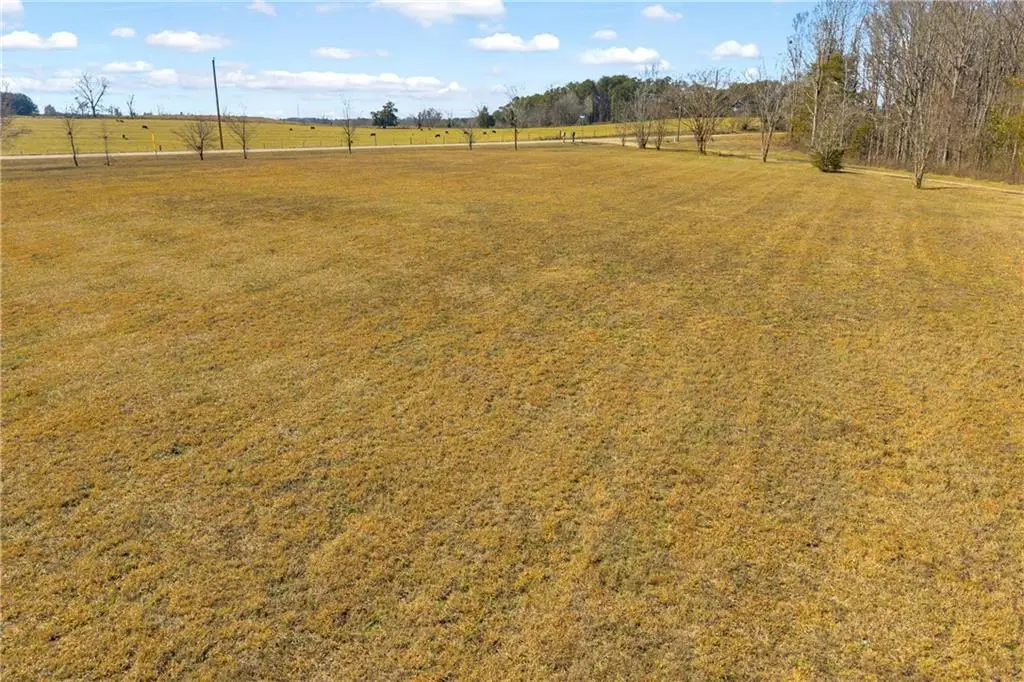 91 Almetie Drive, Toccoa, GA 30577 - #1