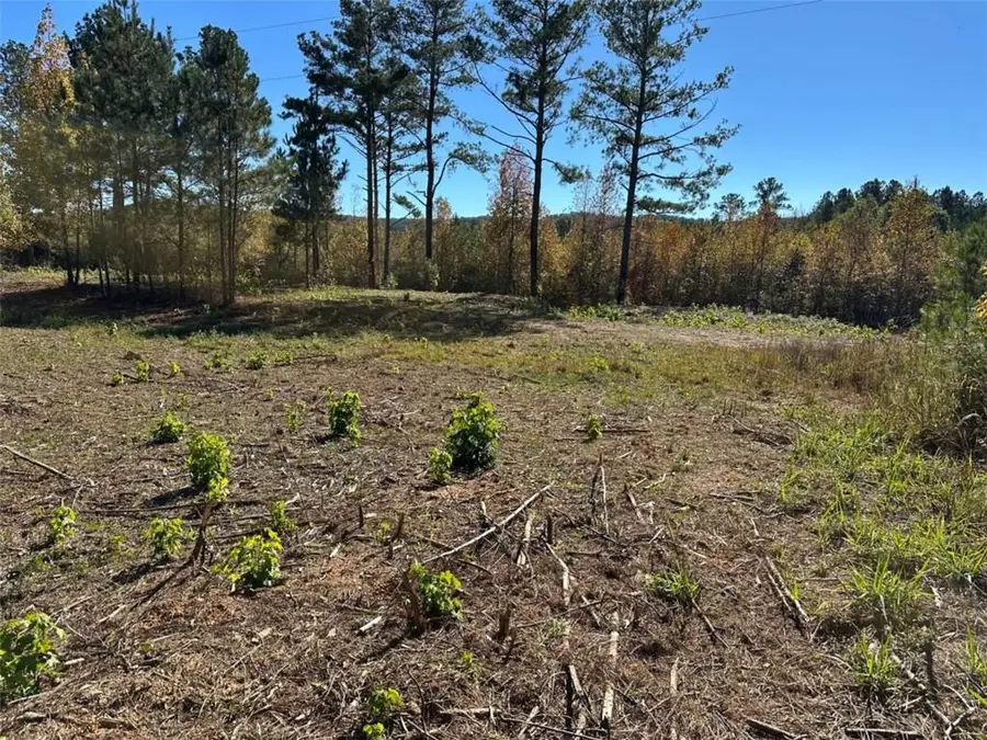 TR 3 Culp Lake Road, Cedartown, GA 30125 - #2