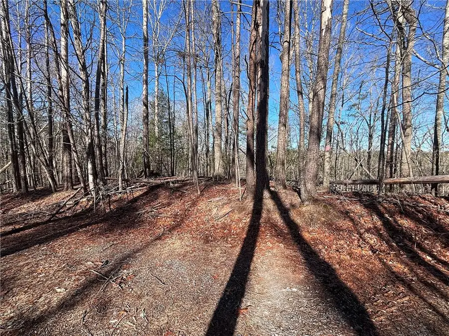 0 Miramar Drive, Ellijay, GA 30540 - #2