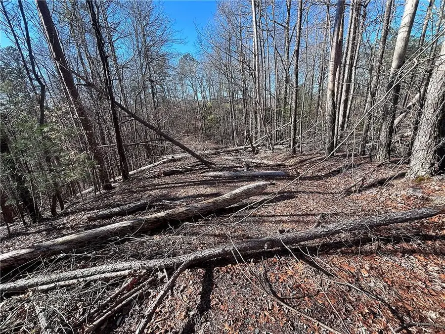 0 Miramar Drive, Ellijay, GA 30540 - #3