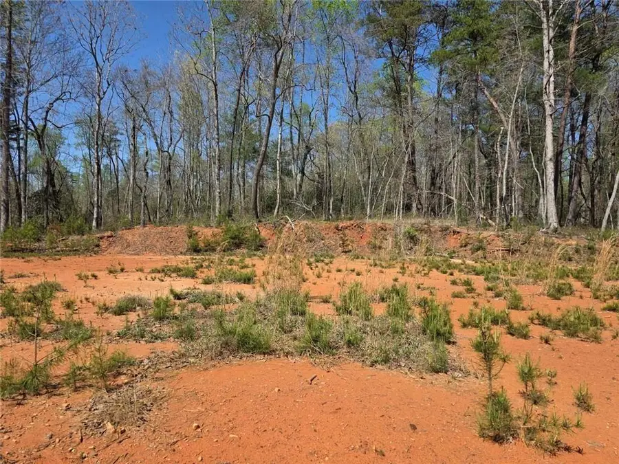 0 Thurmond Road 8.64 Acres Road, Cleveland, GA 30528 - #3