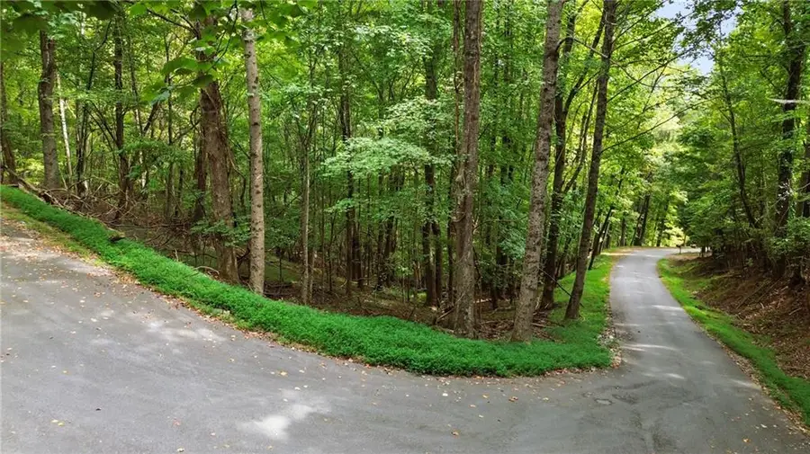 0 Sal Mountain Way, Sautee Nacoochee, GA 30571 - #2