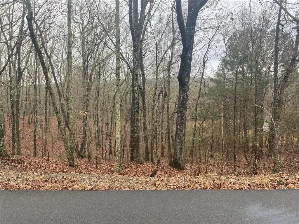 0 John Ingram Road, Silver Creek, GA 30173 - #1