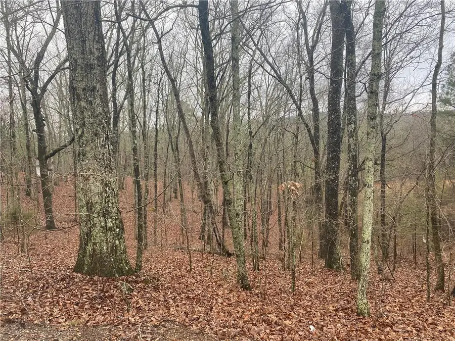 0 John Ingram Road, Silver Creek, GA 30173 - #2