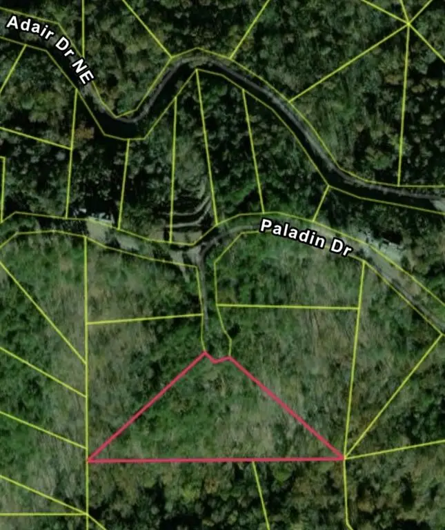 334 Packet Court, Ranger, GA 30734 - #3