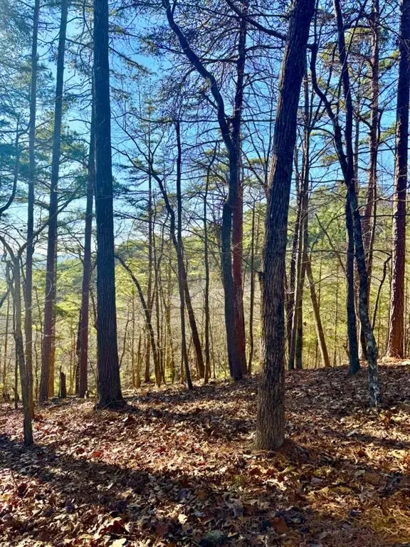 335 Packet Court, Ranger, GA 30734 - #2