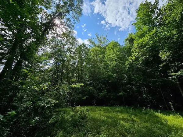 0 Hutcheson Road, Temple, GA 30179