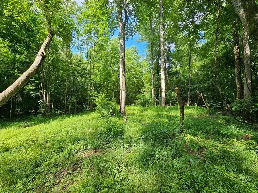 0 Hutcheson Road, Temple, GA 30179 - #3