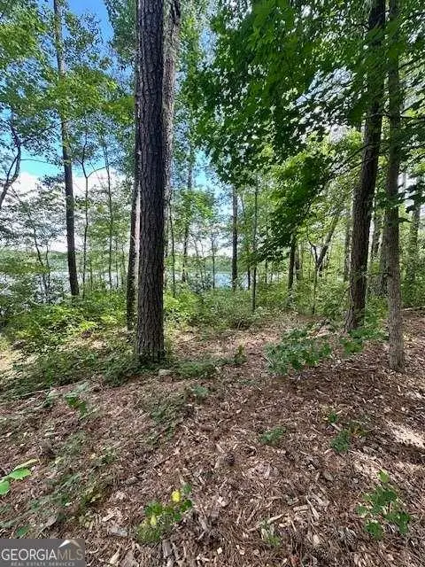 0 W Highway 34 W, Newnan, GA 30263 - #1