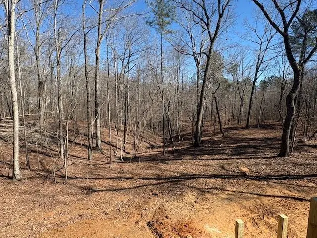 2081 Jerusalem Church Road, Jasper, GA 30143 - #3